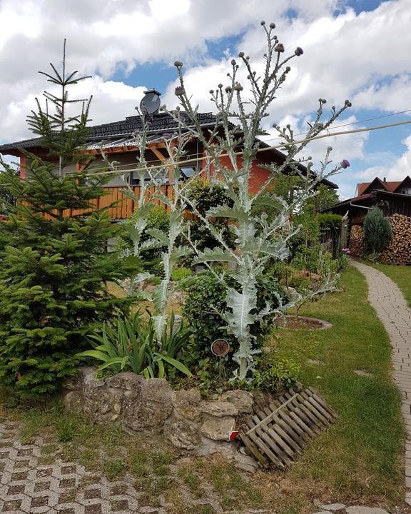 Landgasthof Zur schoenen Aussicht